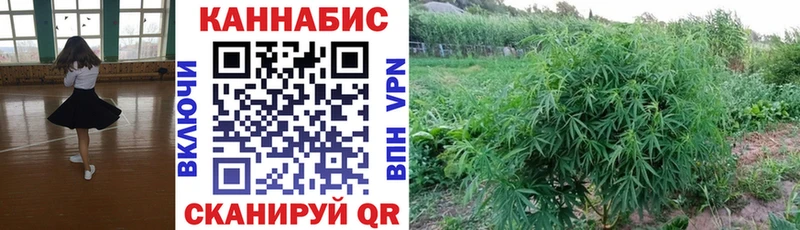 МАРИХУАНА SATIVA & INDICA сколько стоит мориарти как зайти Белый